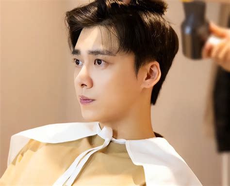 Li Yifeng: Il Ritratto Di Un Idol Pop Cinese Controverso